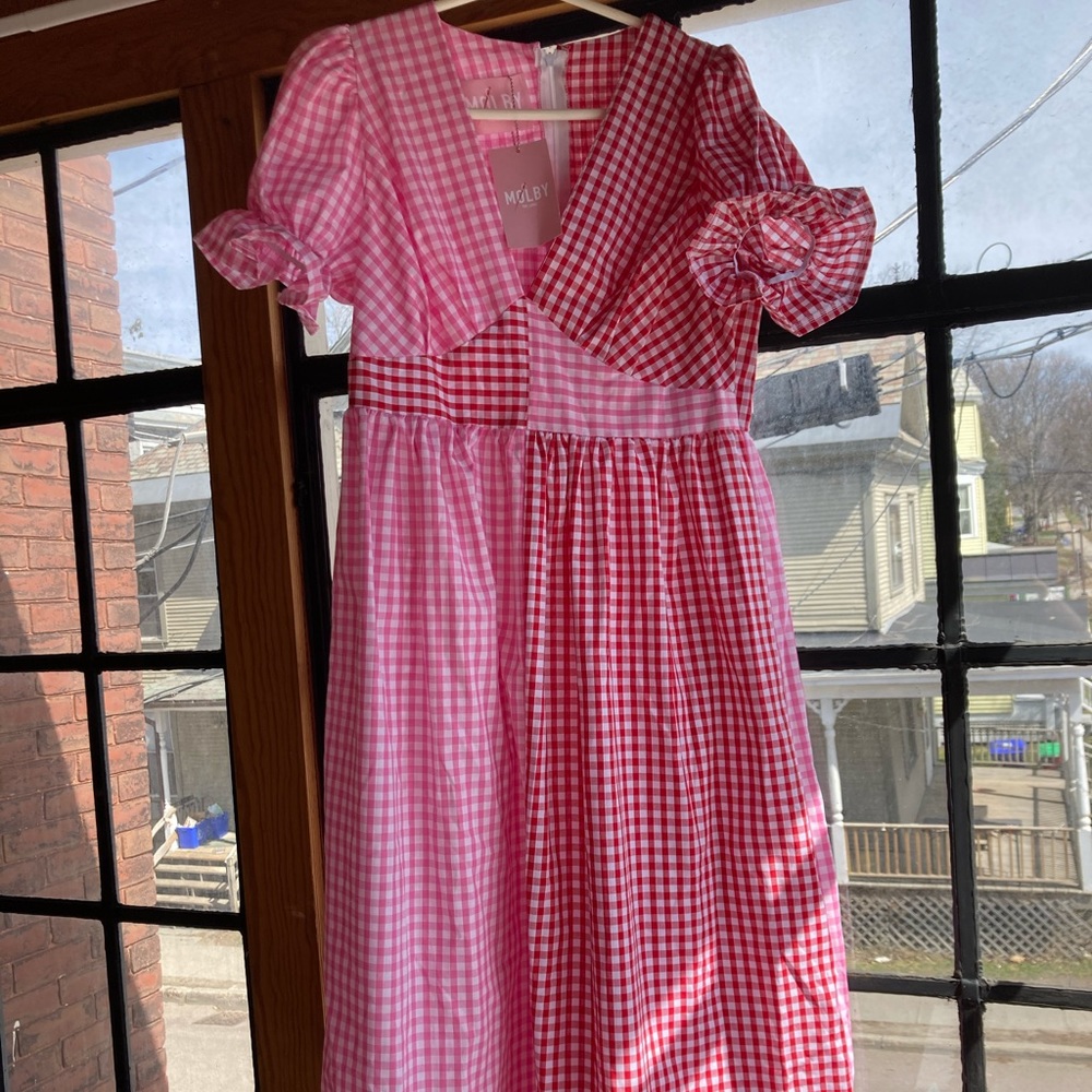 MOLBY PINK AND RED GINGHAM DRESS